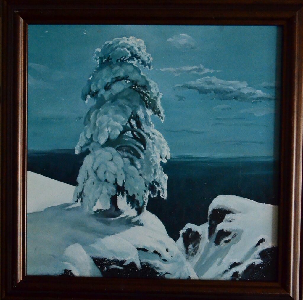 Горникевич В. 17